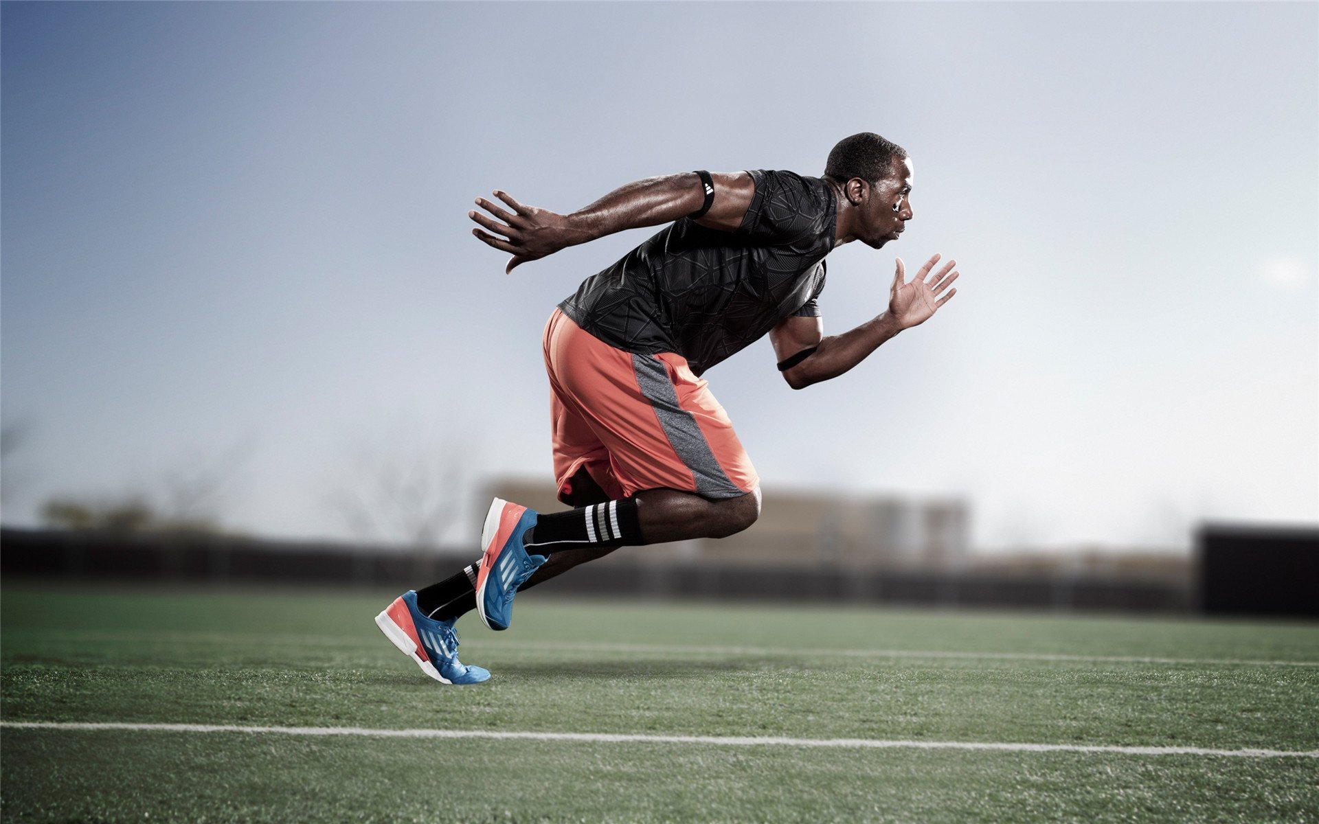 体育赛事市场份额分析