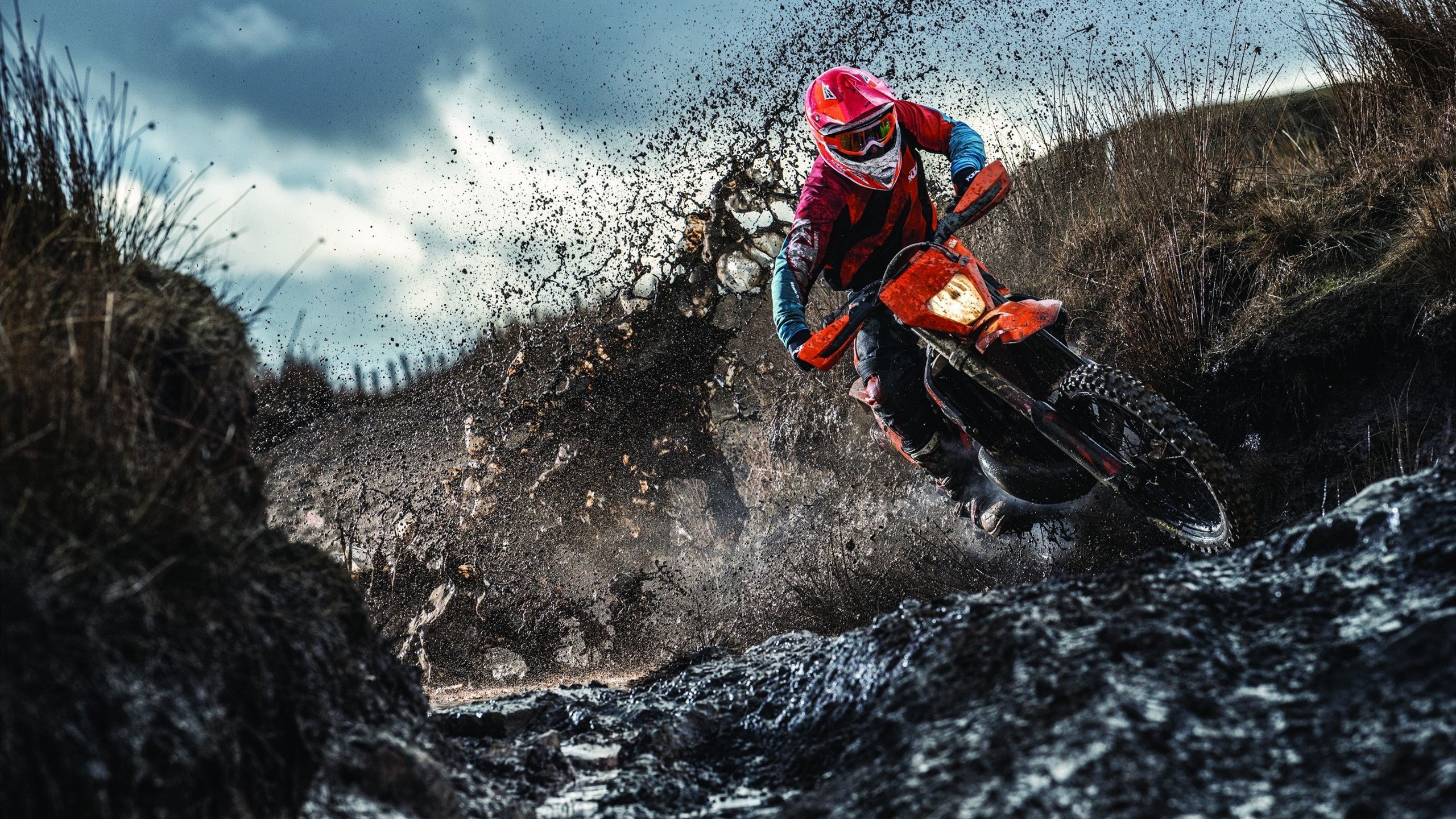 欧冠主场优势明显 多队抢占晋级先机